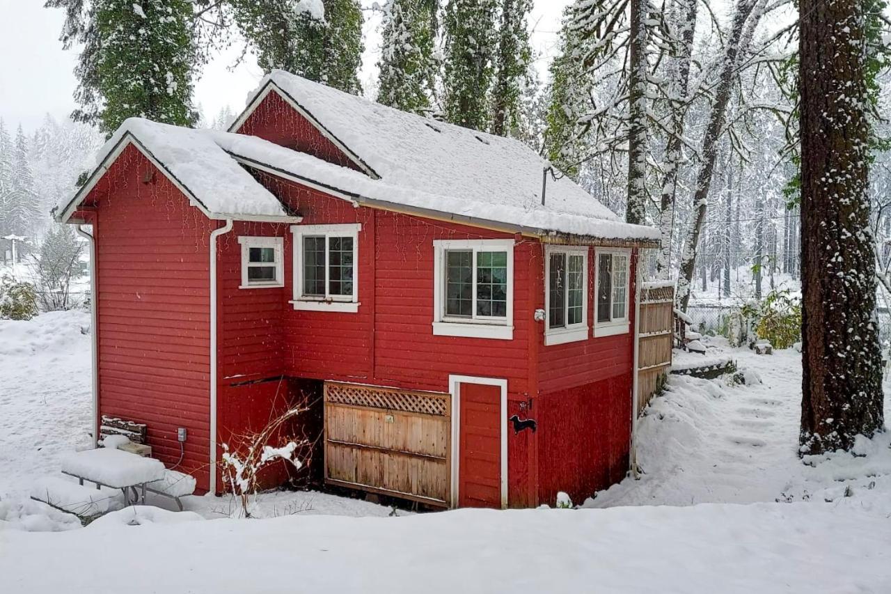Peaceful McKenzie River Retreat - Fish, Hike, & Ski Vida Exterior foto
